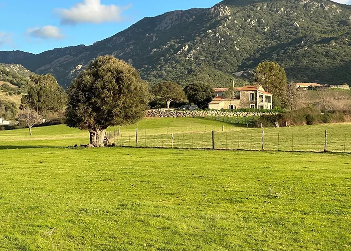 Maison Cantonniere * Sartene (Corsica)