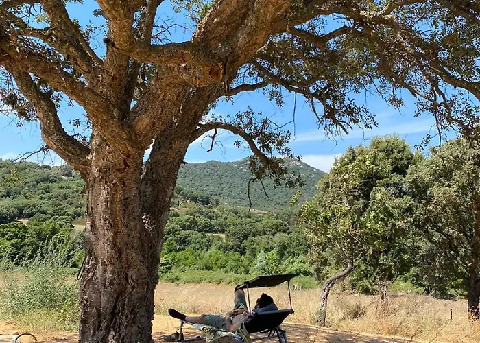 Maison Cantonniere Holiday home Sartene (Corsica)