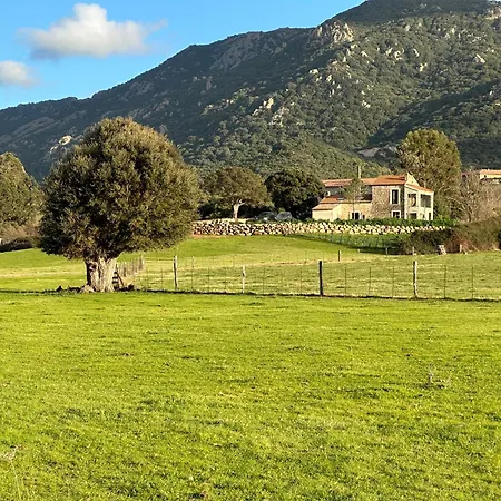 Maison Cantonniere * Sartène