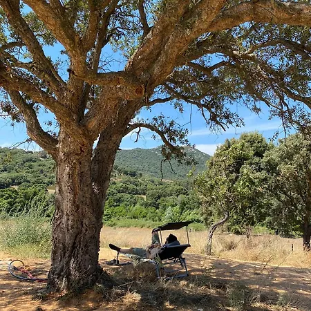 Maison Cantonniere Semesterbostad Sartène